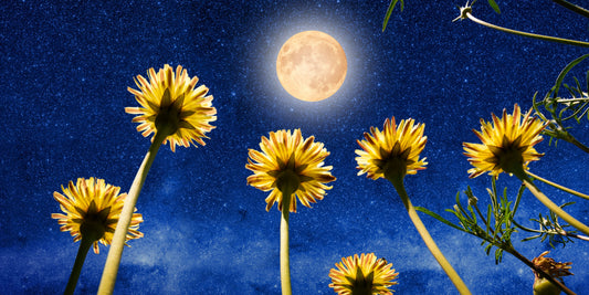 The Spiritual Full Moon in Capricorn